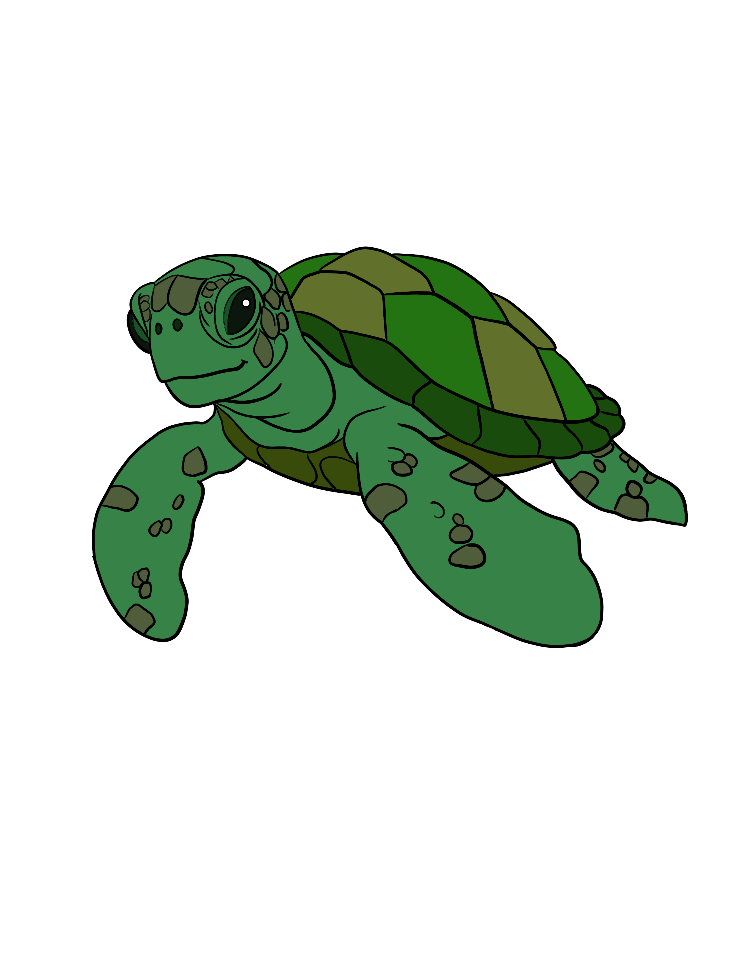 Sea Turtle Sticker