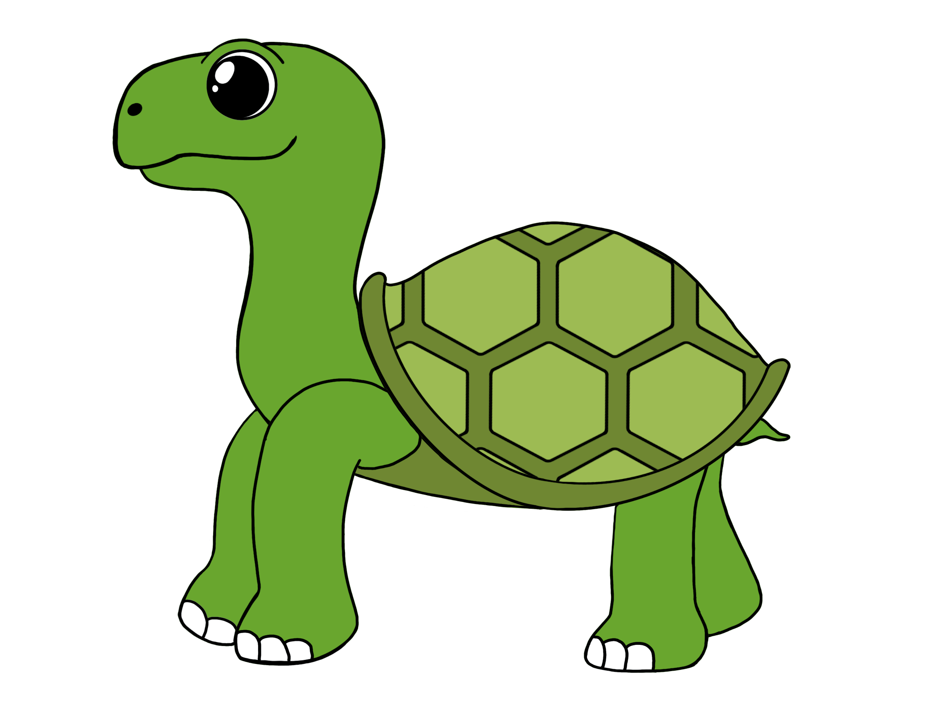 Turtle Sticker